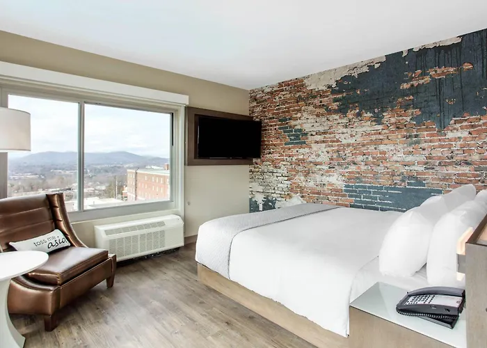 Pet Friendly hotel: Cambria Hotel Downtown Asheville